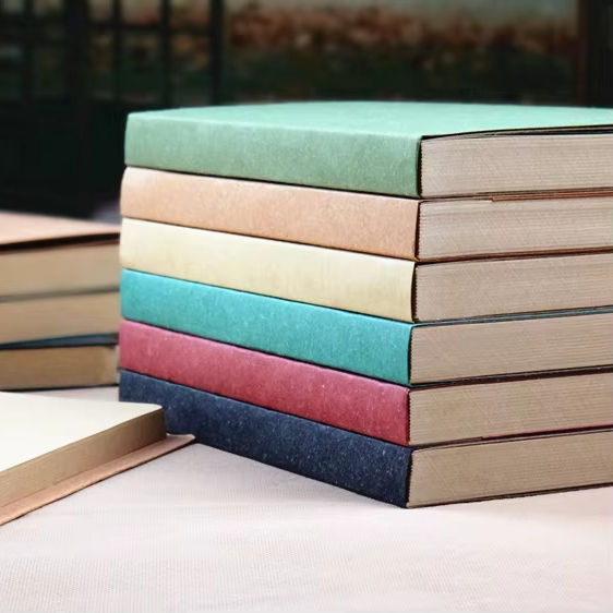 LION Wholesale Bulk Quality Low Price Velvet Cover Plain Paper Journal Notebooks