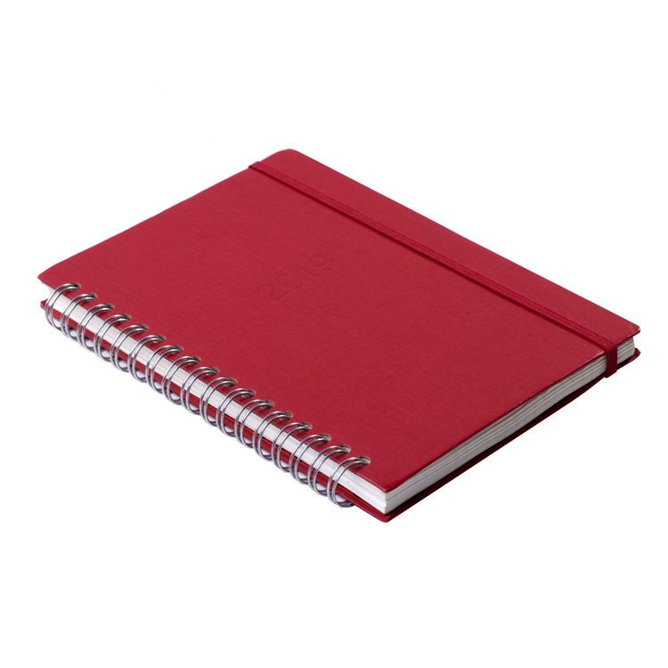 Wholesale Dotted/grid/lines/blank Transparent PP Hardcover Spiral Bound Notebook