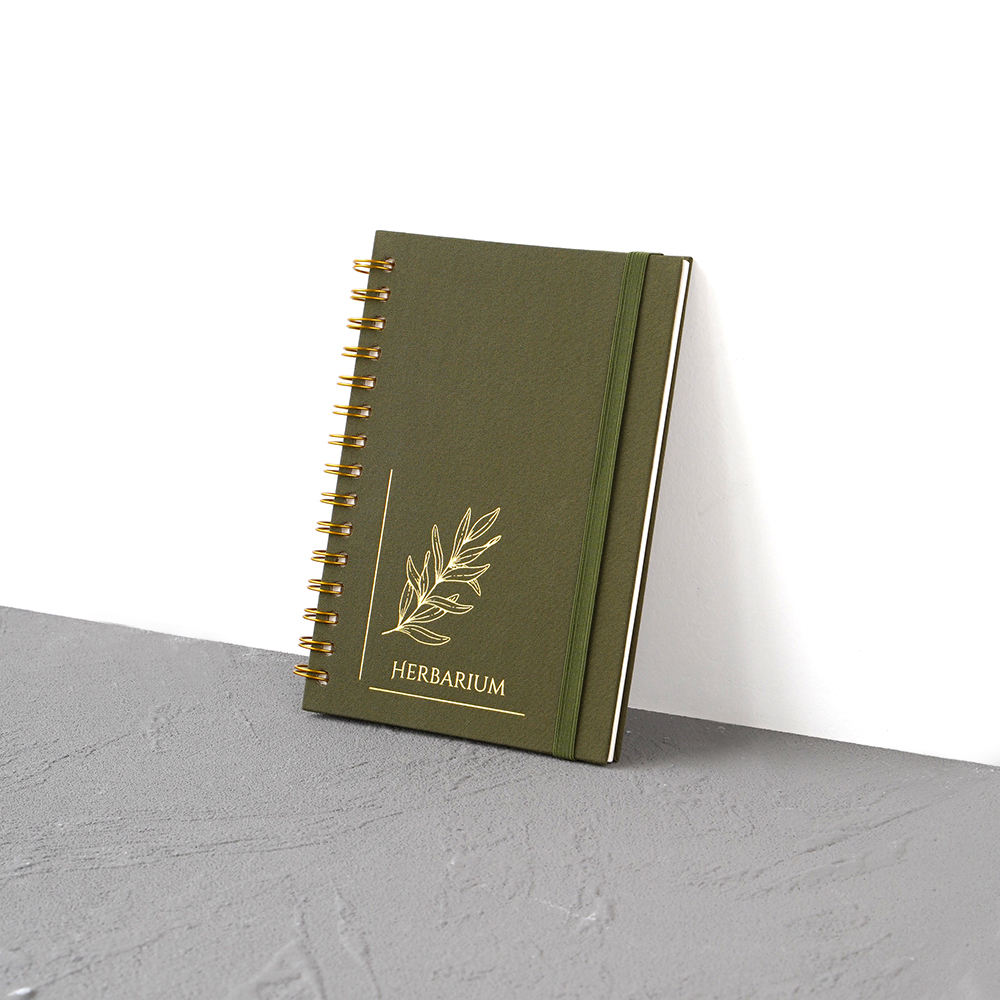 Deli 7685 Brief Spiral Notebook A5 100sheets Pink Yellow Green Blue Office Study Notebook for Students 96pcs Per Carton Set
