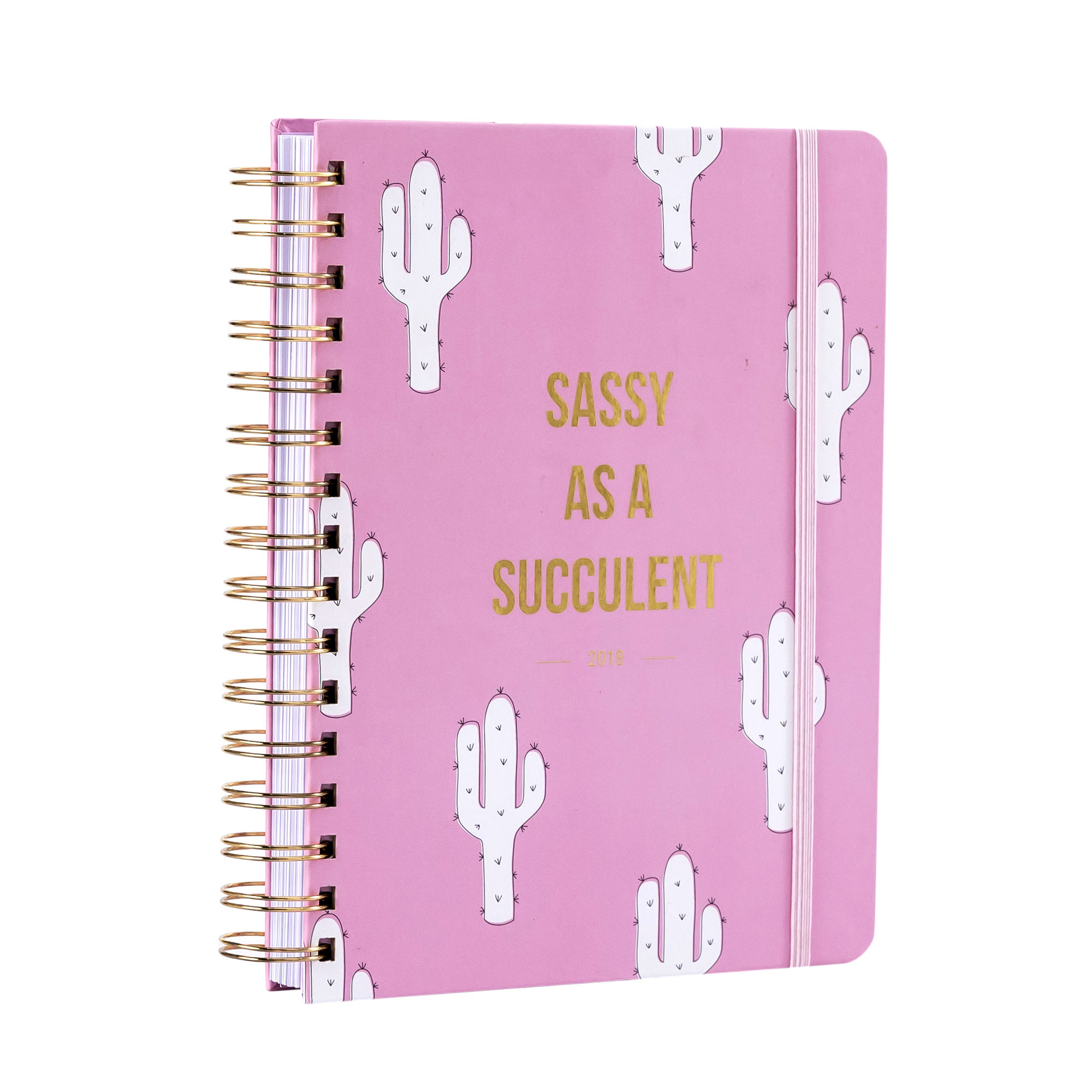 Professional Planner Supplier Custom Printing Undated Non Dated Daily Spiral Planner Calendar Notebook with Pocket and Sticker